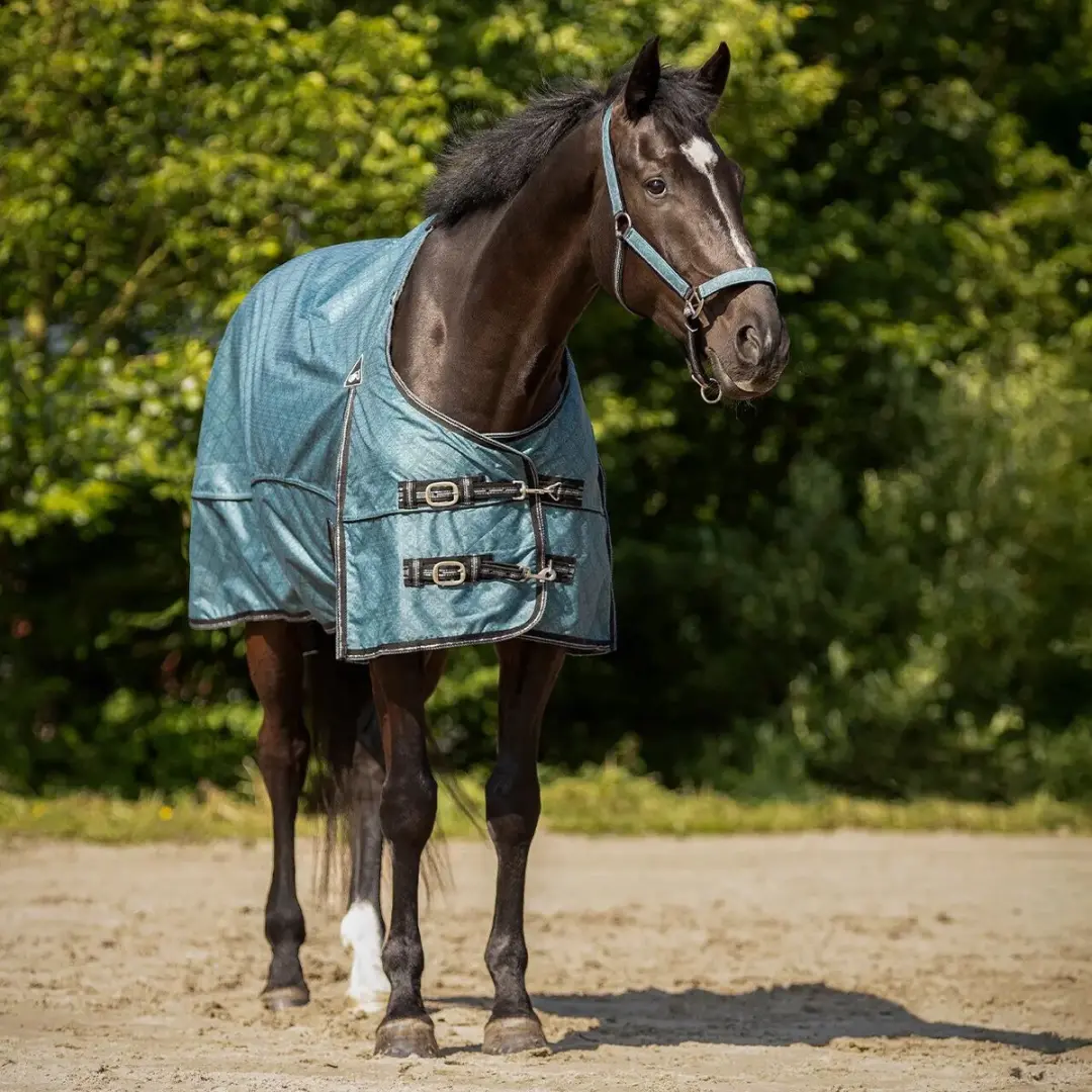 QHP Outdoor Paardendeken Zomer - 165cm - Cheery Pink - afbeelding 6 van 6