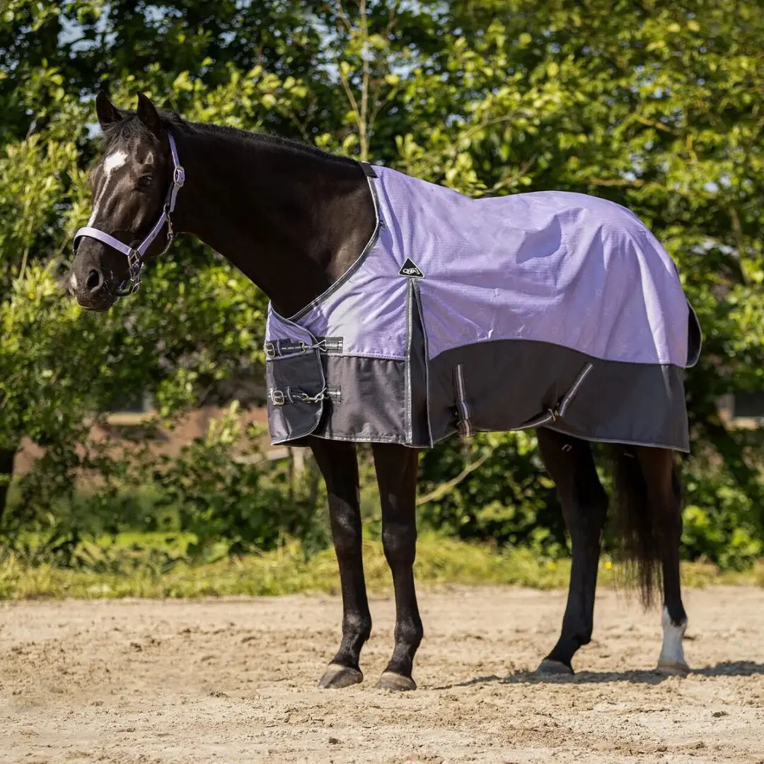 Outdoor paardendeken QHP