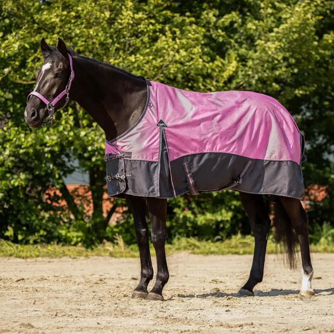 QHP Outdoor Paardendeken Zomer - 165cm - Cheery Pink - afbeelding 3 van 6