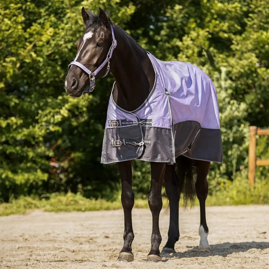 QHP Outdoor Paardendeken Zomer - 165cm - Cheery Pink - afbeelding 2 van 6
