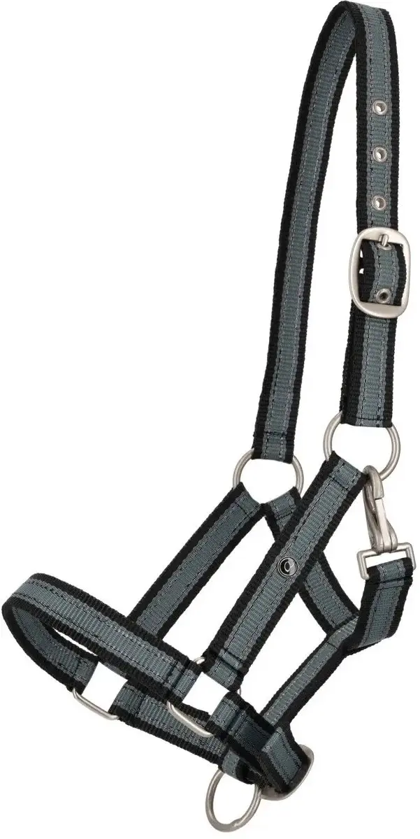Halster voor paarden QHP