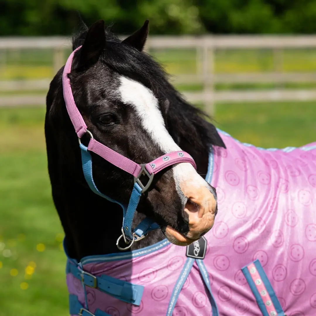 QHP Halster Rosalynn Roze/Blauw - Pony Full - afbeelding 4 van 6
