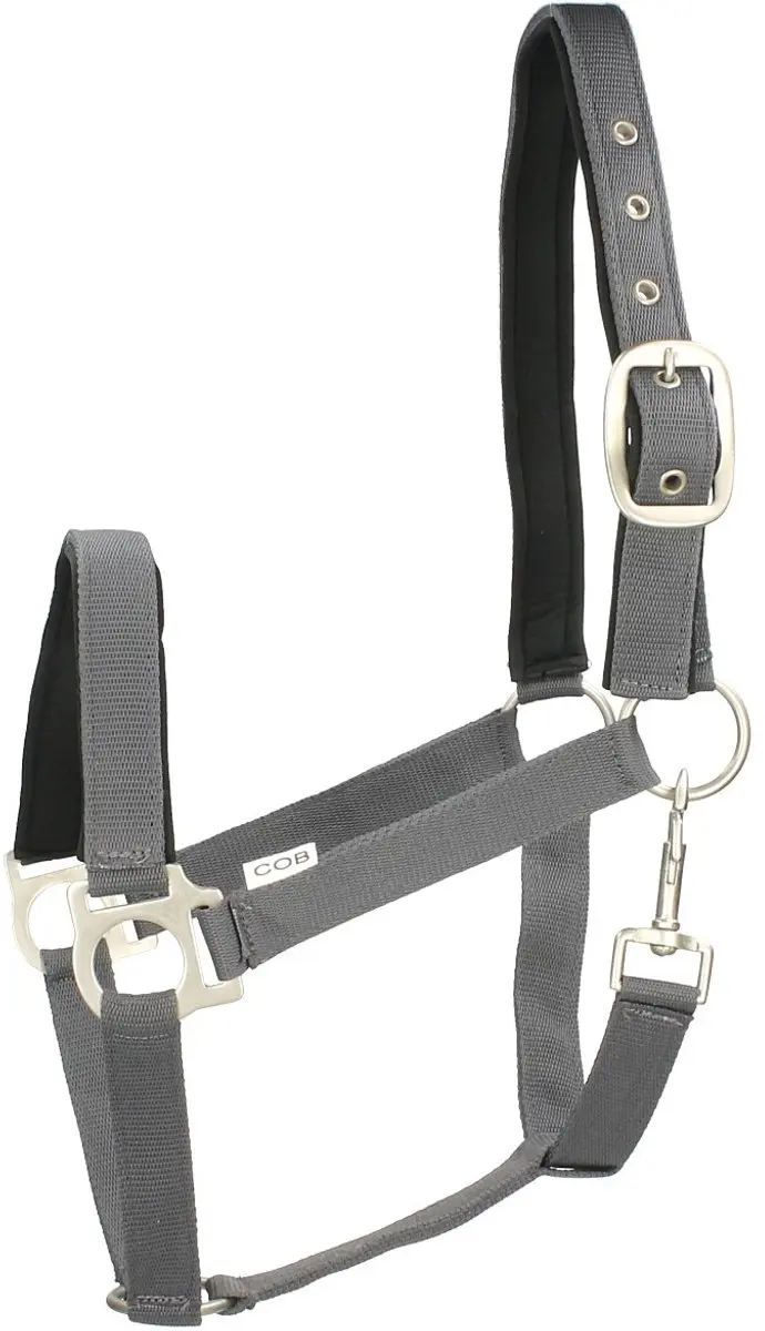 Epplejeck Esprit Halster