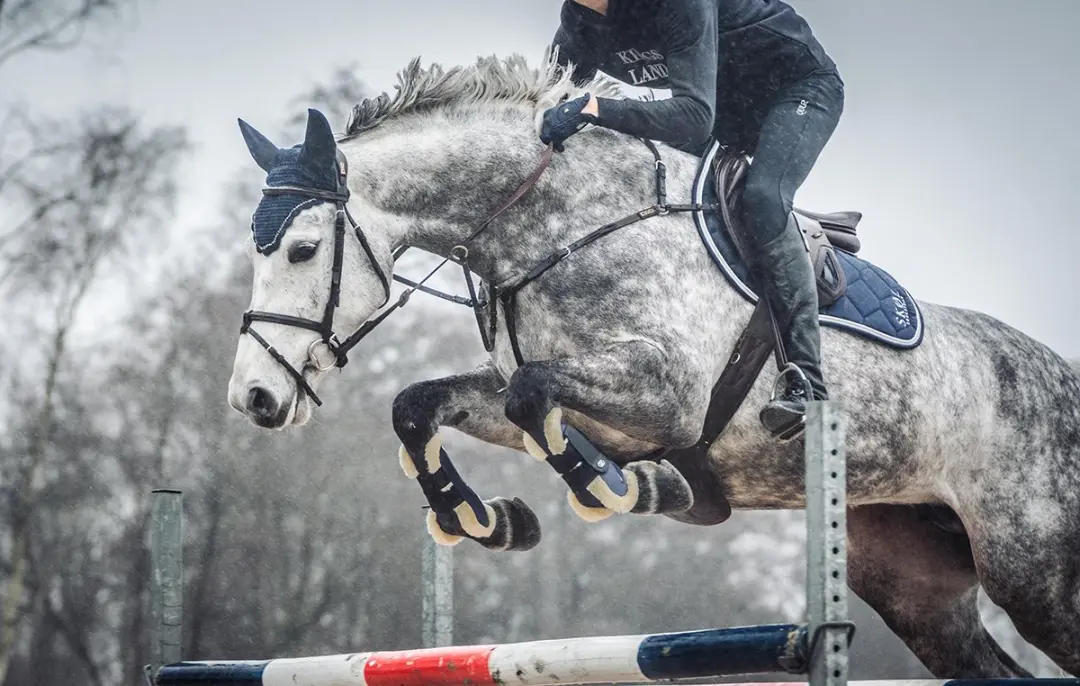 Epplejeck Oornetje Full - Donkerblauw-blauw