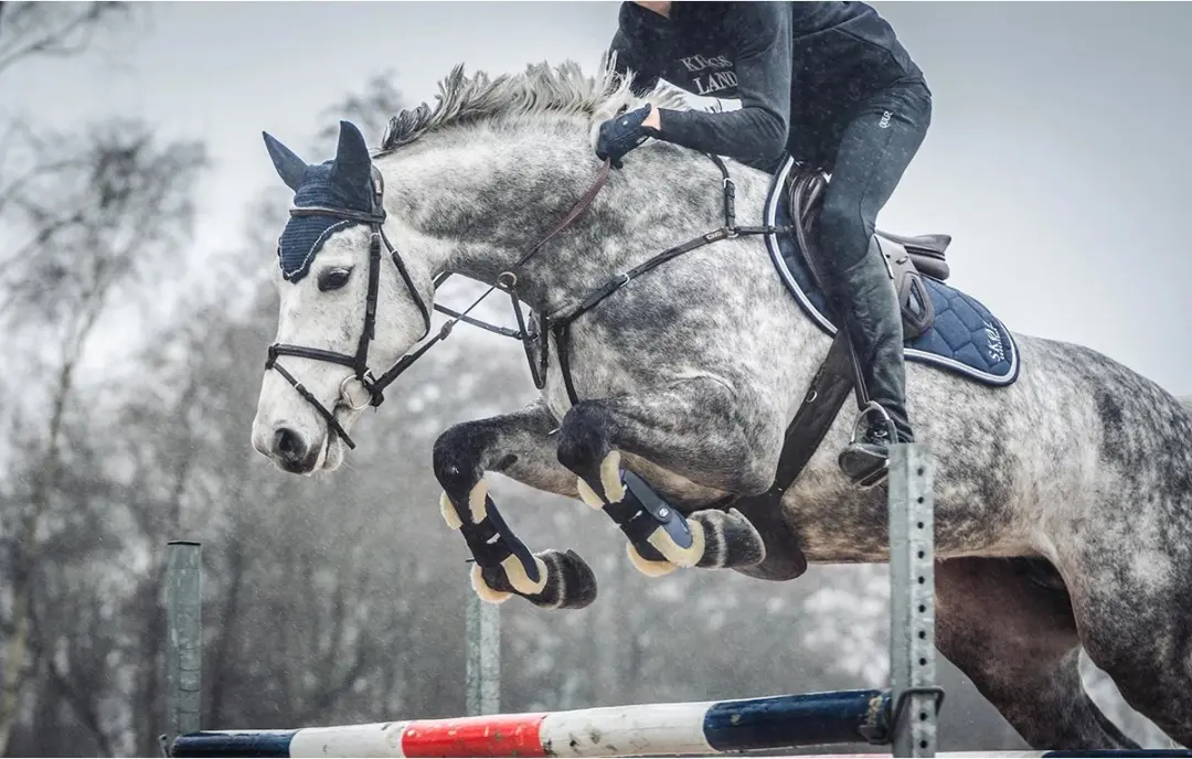 Epplejeck Oornetje Full - Donkerblauw-blauw
