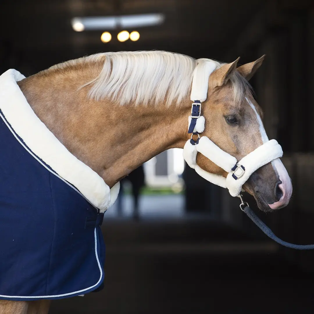 Horsegear Halster Shetlander Naturel