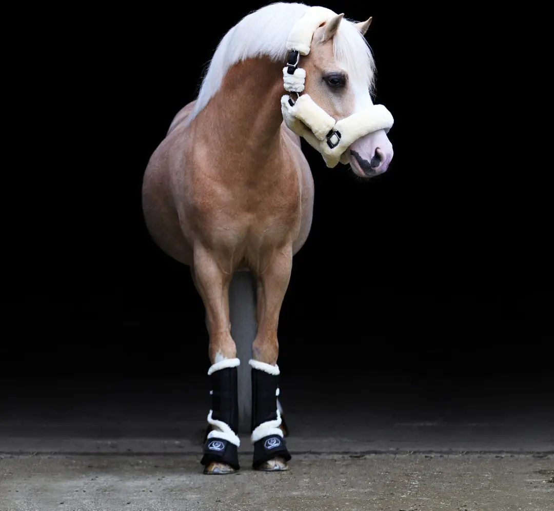 Horsegear Halster Shetlander Naturel - afbeelding 6 van 6