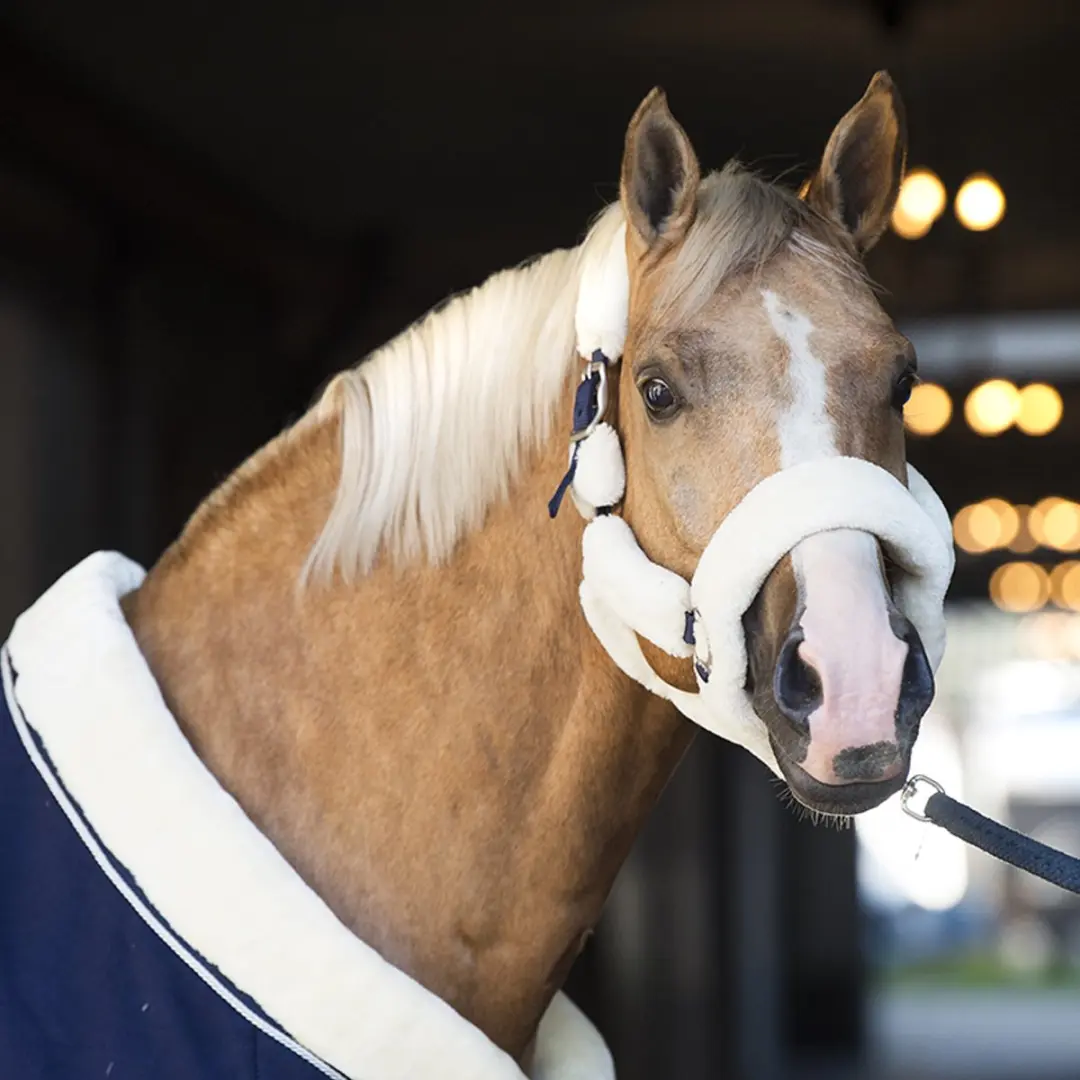 Horsegear Halster Shetlander Naturel