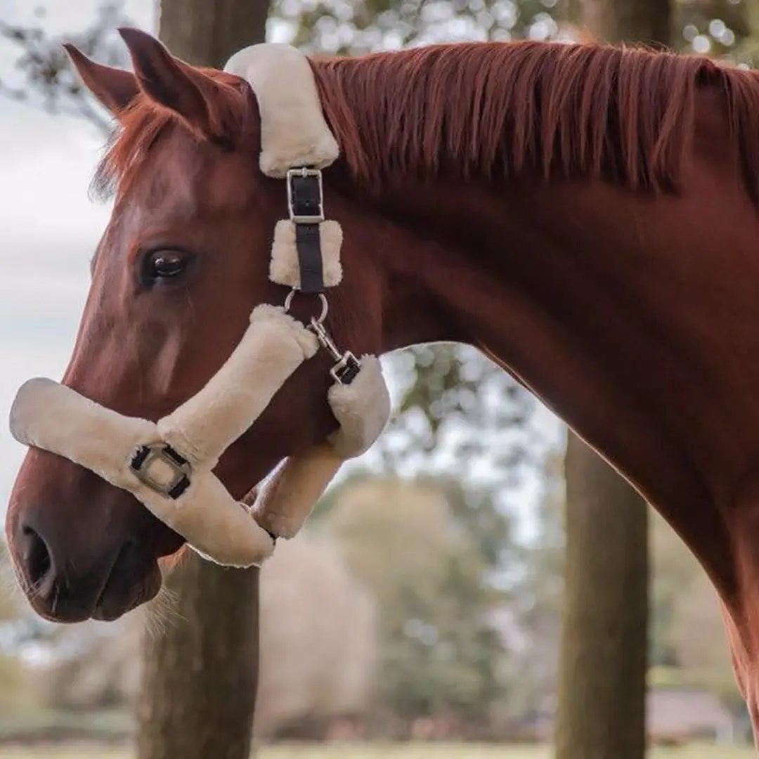 Horsegear Halster Shetlander Naturel