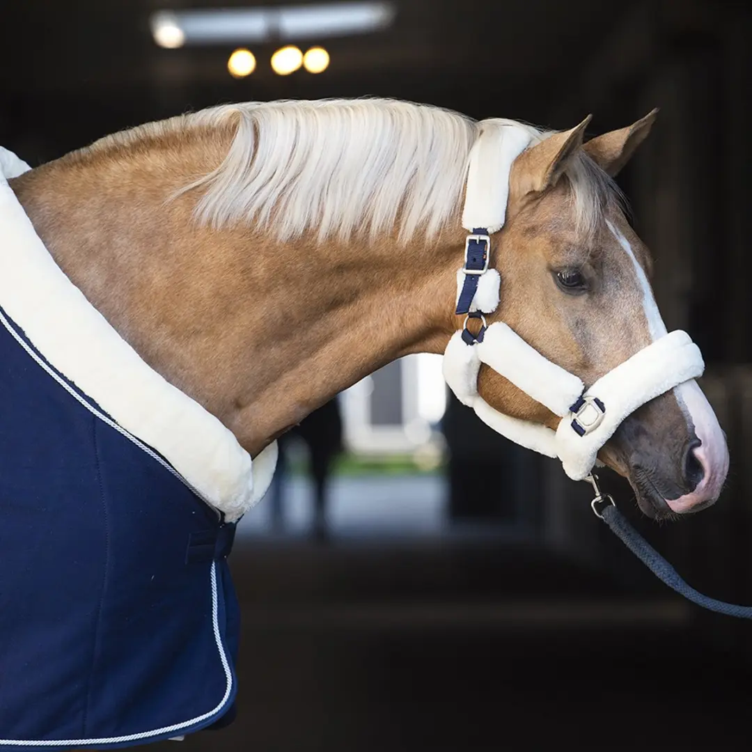 Horsegear Allure Zweetdeken 165/215 - Donkerblauw