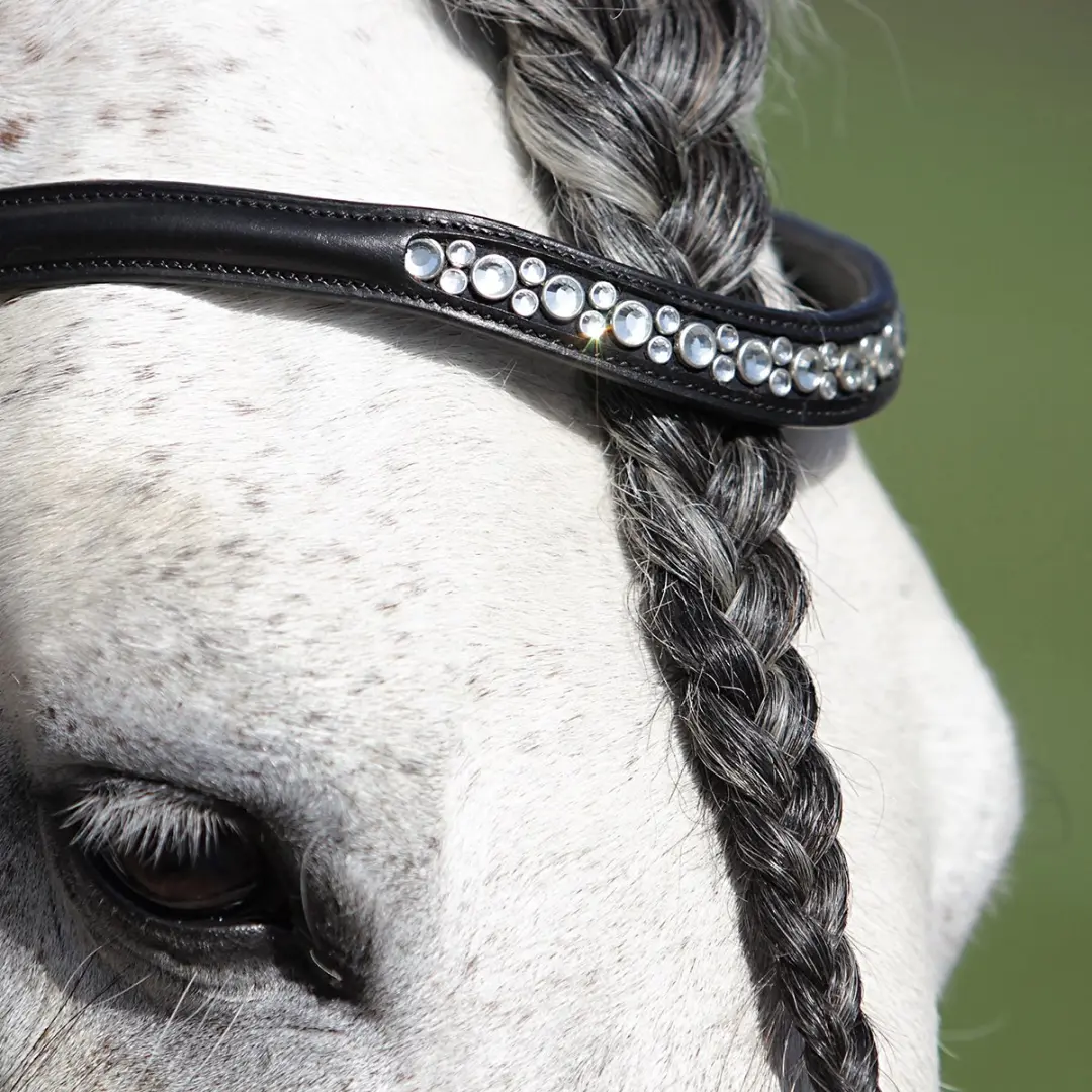 Horsegear Hoofdstel HGHONESTUS Full - Zwart