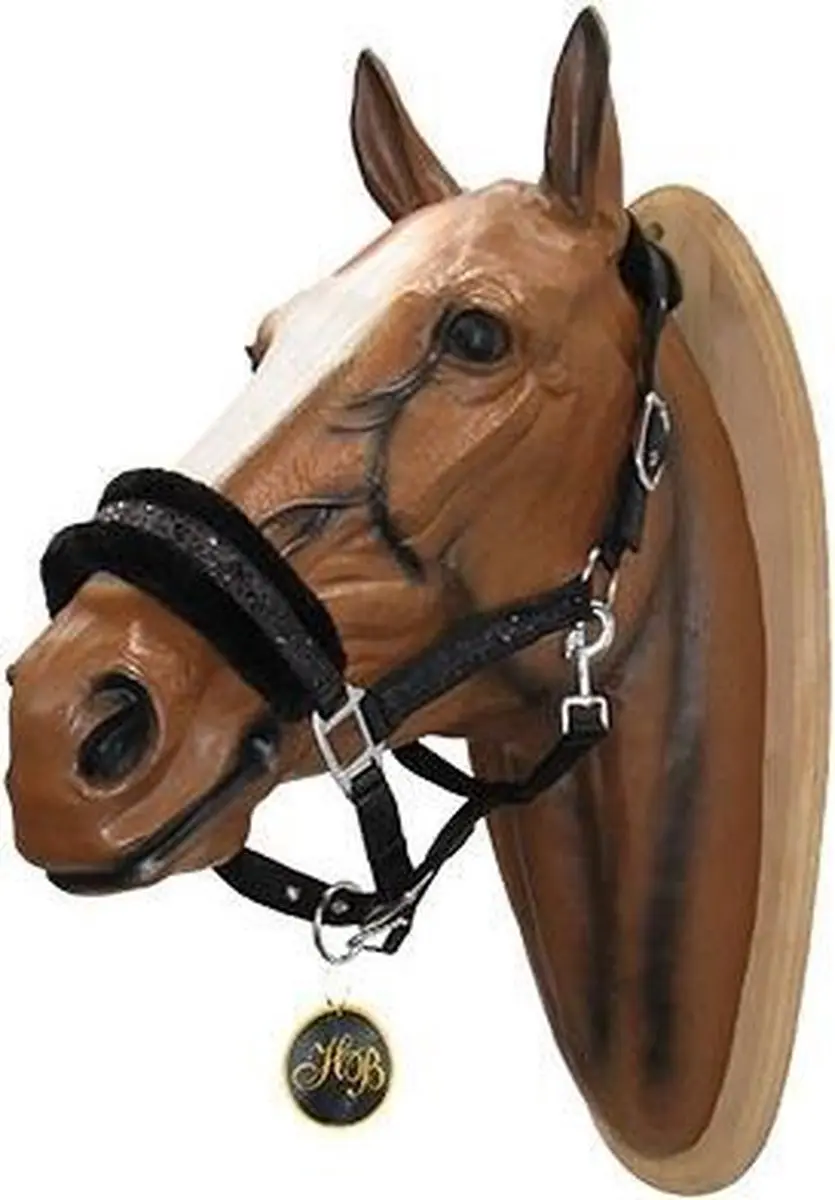 Epplejeck Halster Glamour Cob - Zwart - afbeelding 6 van 6