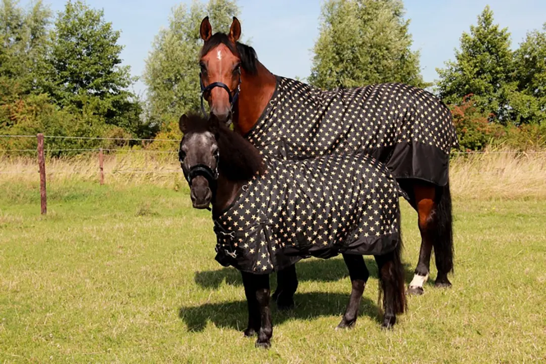 Epplejeck Halster Glamour Cob - Zwart