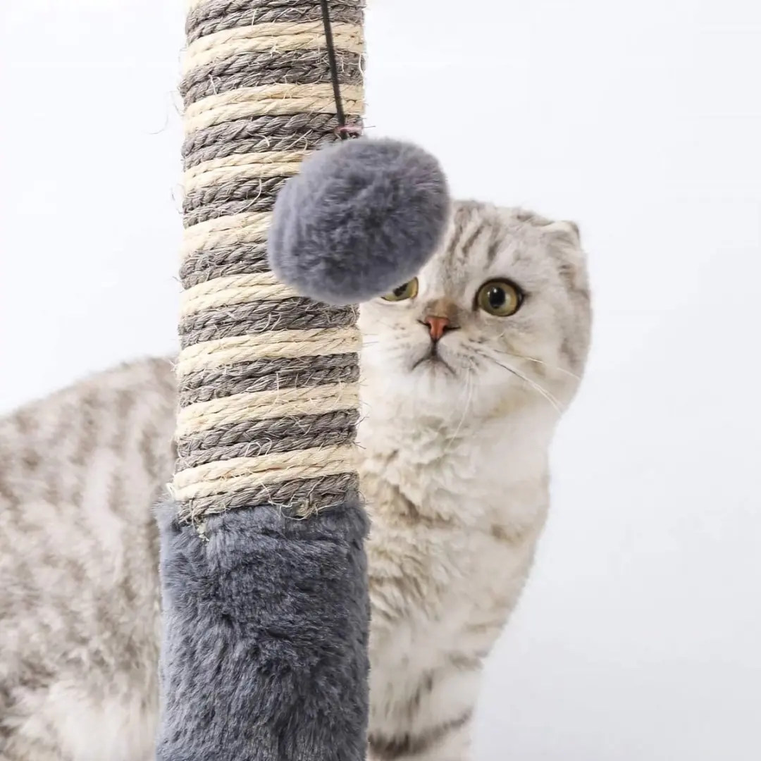 Nobleza Krabpaal voor Katten - Grijs