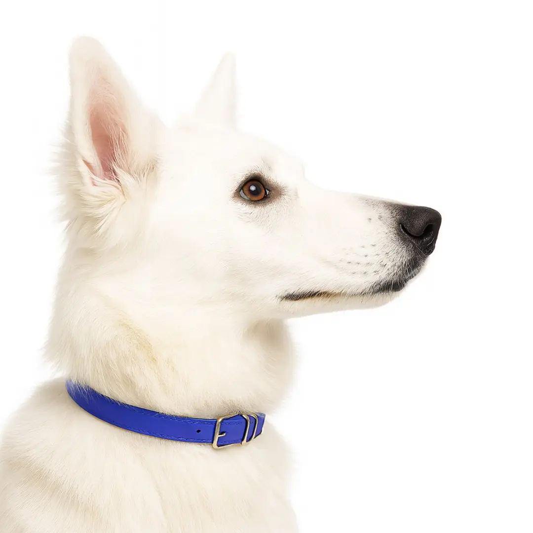 Nobleza Hondenhalsband