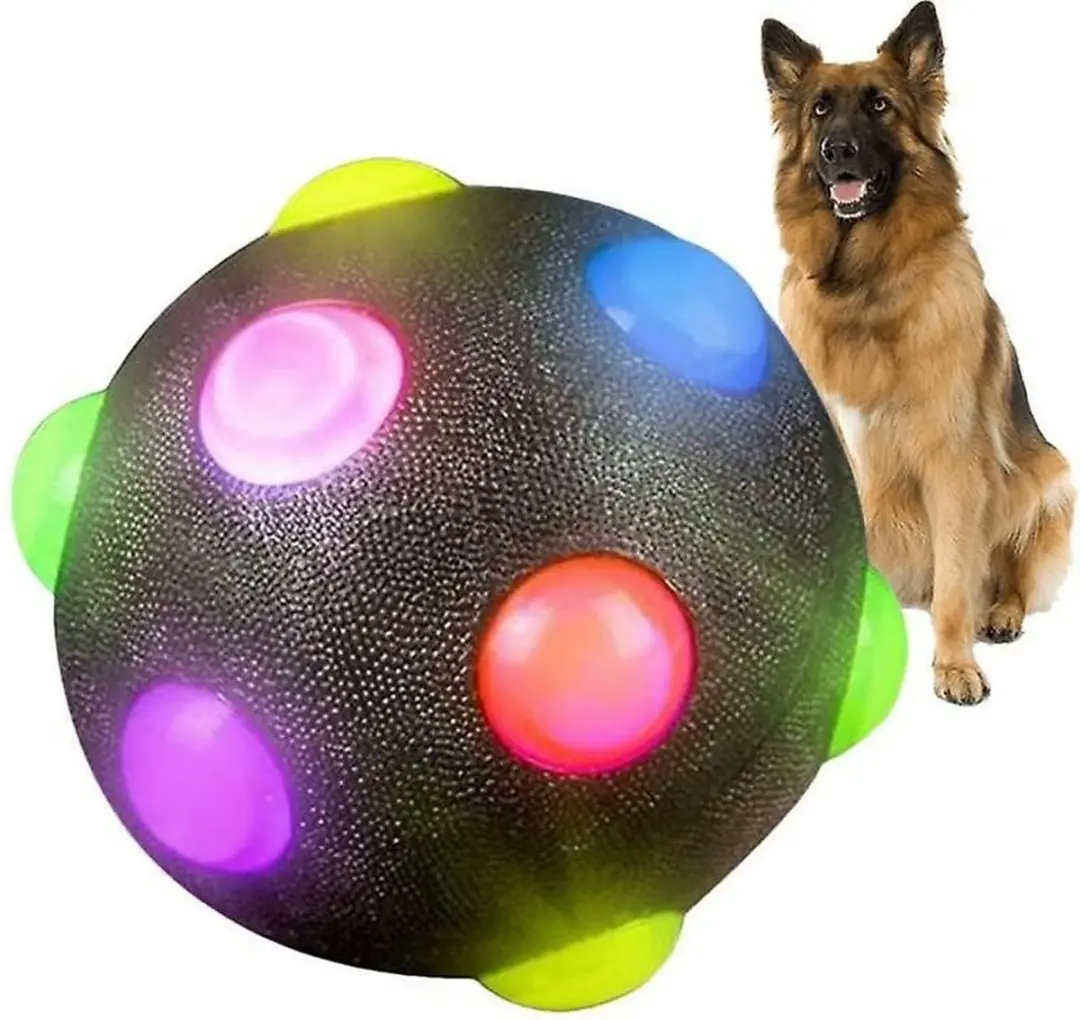 Nobleza Verlichte Hondenbal