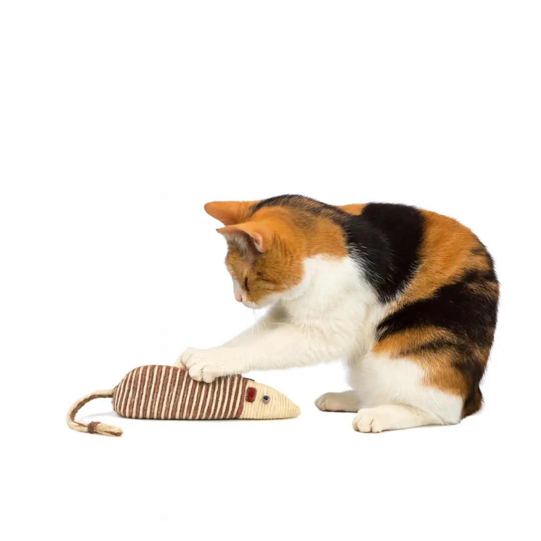 Nobleza Grote Sisal Speelmuis - 21cm