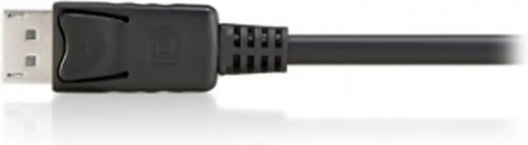 Equip 119332 DisplayPort Kabel 2m - Zwart