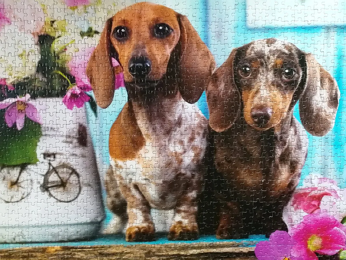 Tactic Dashing Dachshunds Puzzel 1000 Stuks