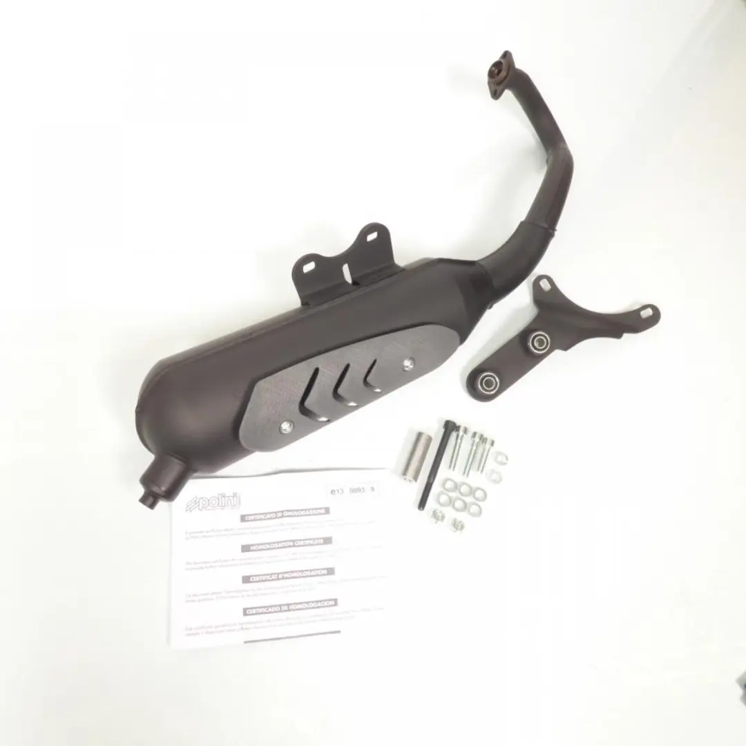 Pot d échappement Polini pour Scooter Aprilia 50 SR R GP REPLICA Avant 2020 Neu