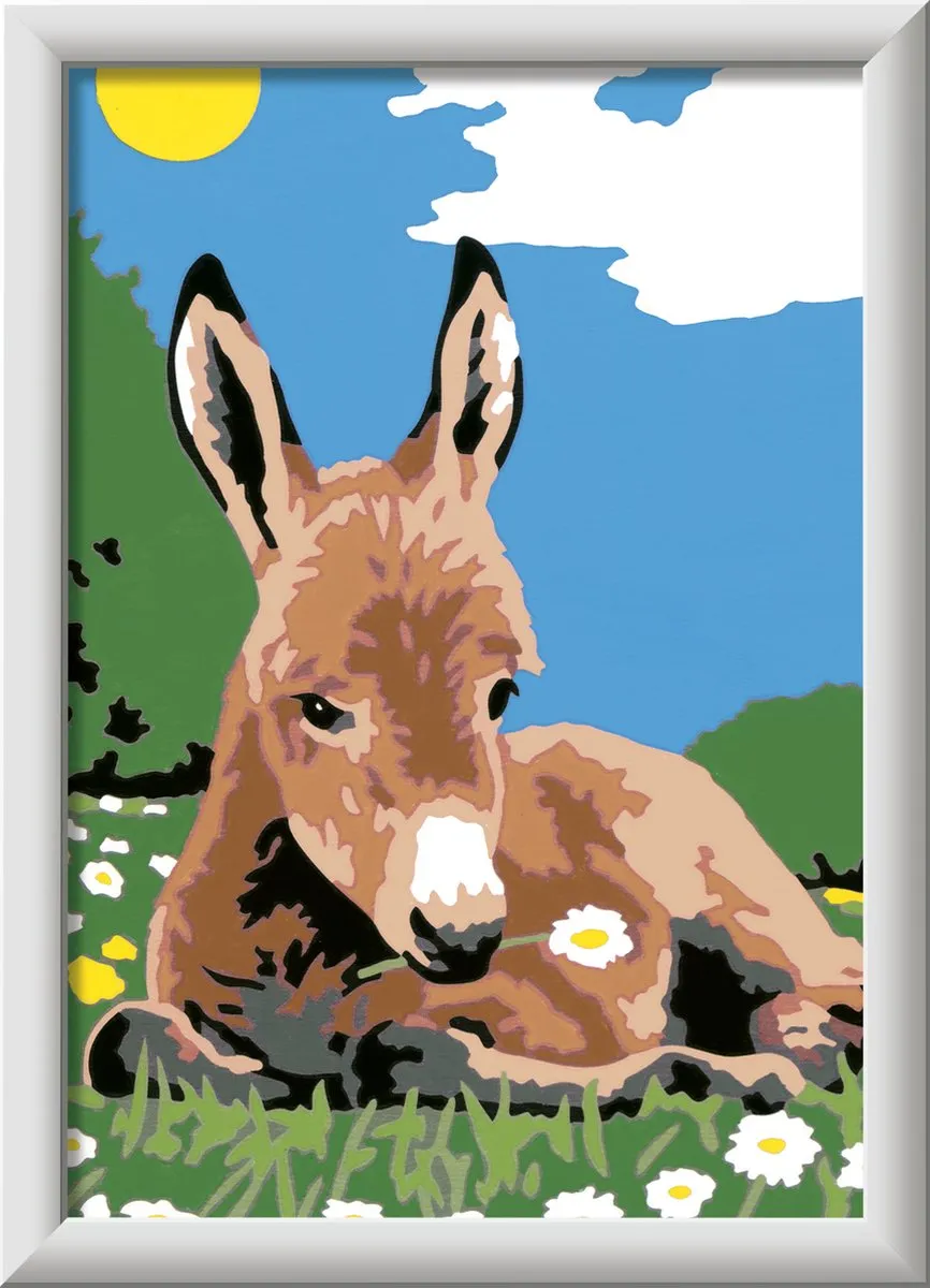 Ravensburger CreArt Little Donkey Schilderen op nummer - 15 Kleuren - Multicolor