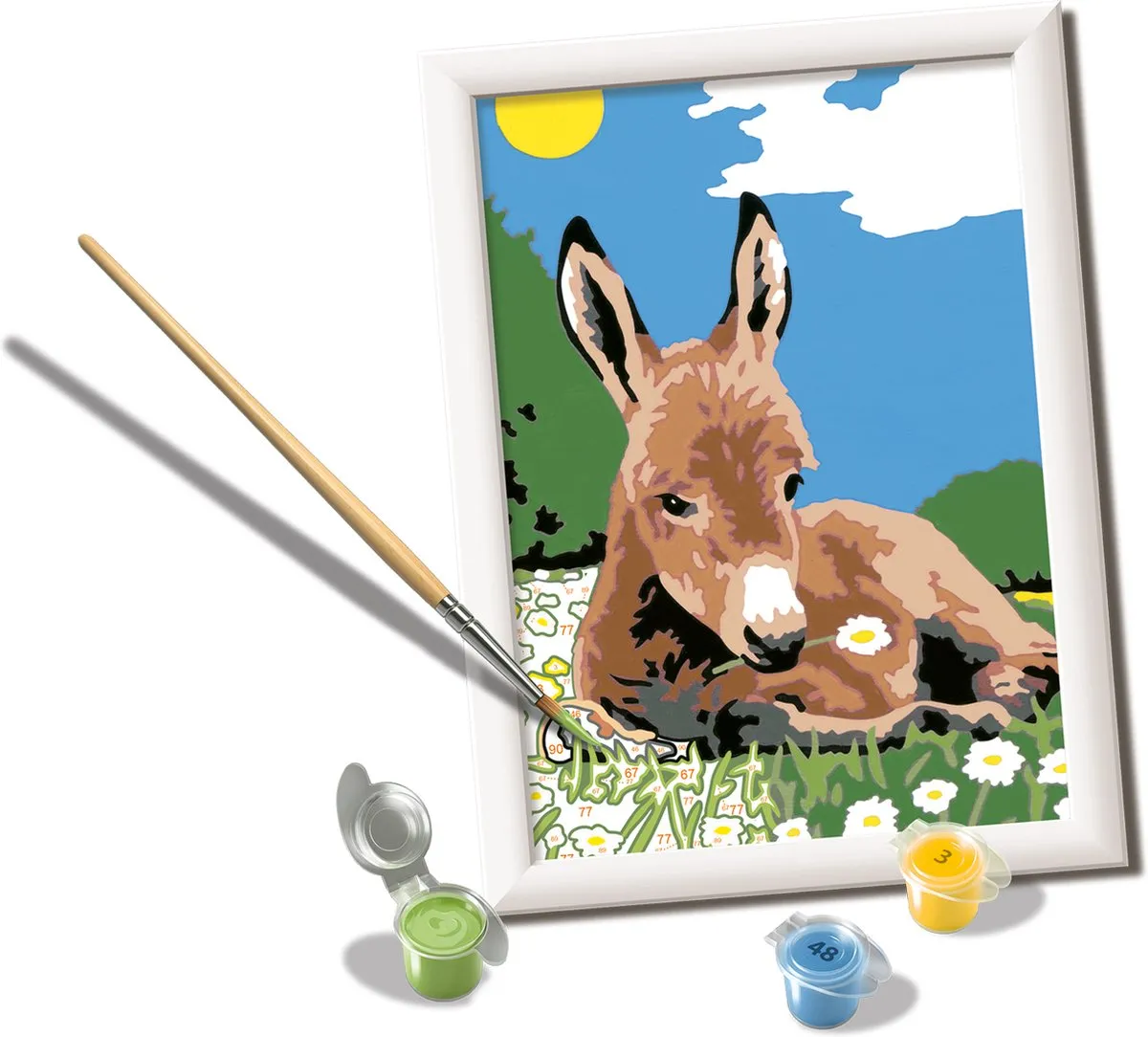 Ravensburger CreArt Little Donkey Schilderen op nummer - 15 Kleuren - Multicolor