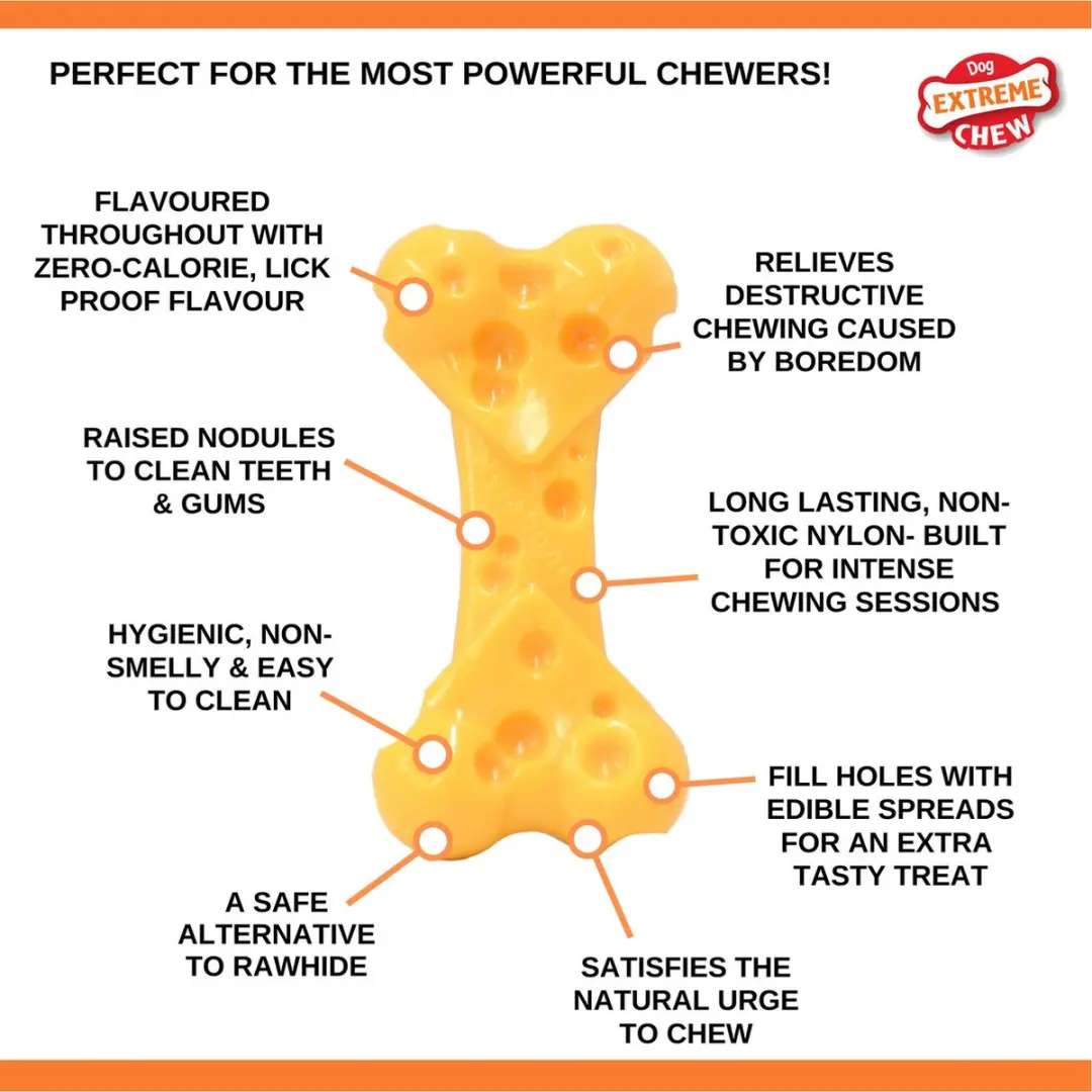 Nylabone Durable Cheese Bone M - Multi