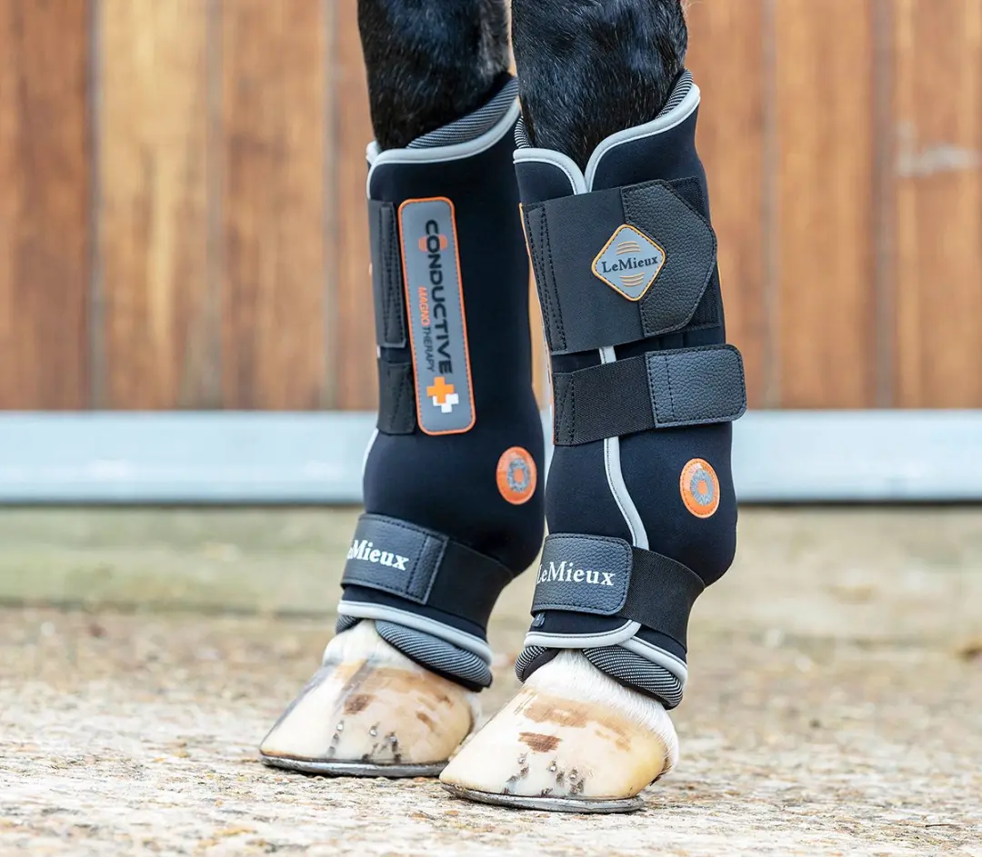 Lemieux Conductive Magno Stalbeschermers M - Zwart