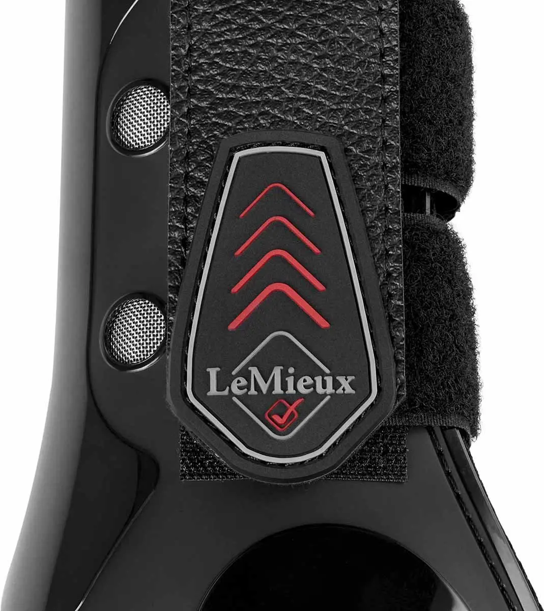 Lemieux Derby ProJump Peesbeschermers - Zwart - L - afbeelding 6 van 6