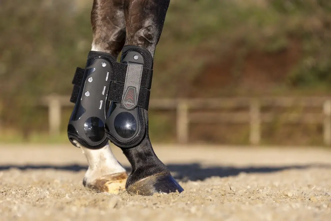 Lemieux Derby ProJump Peesbeschermers - Zwart - L