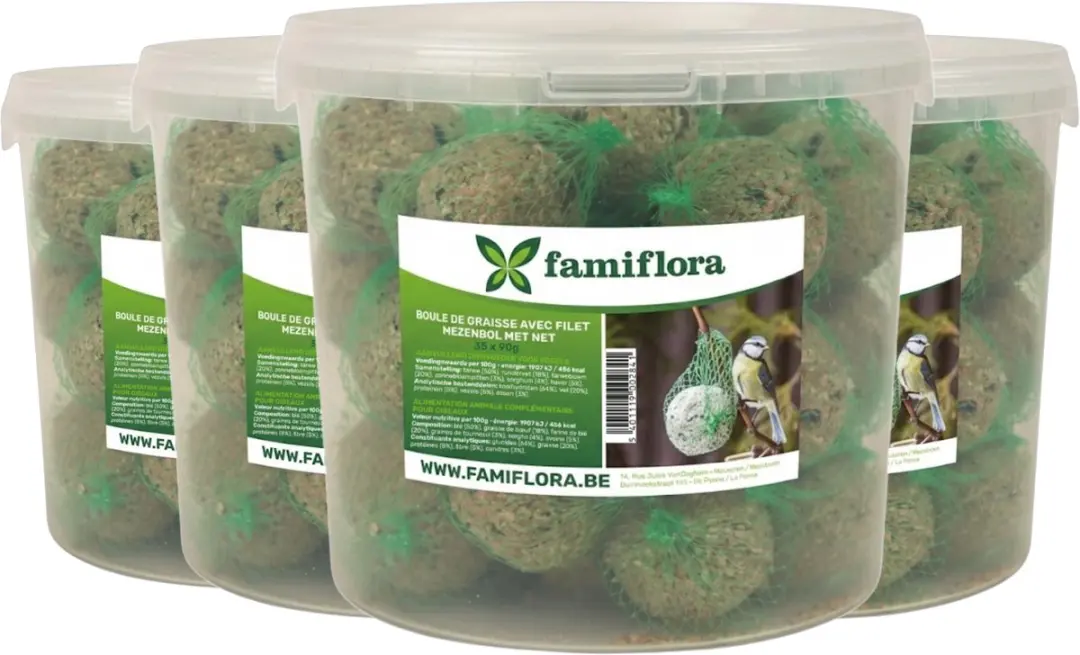 Famiflora mezenbollen in emmer