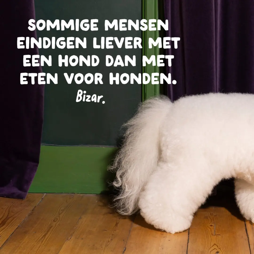 Edgard & Cooper Adult Hondenbrokken Medium Kalkoen & Kip 2,5kg