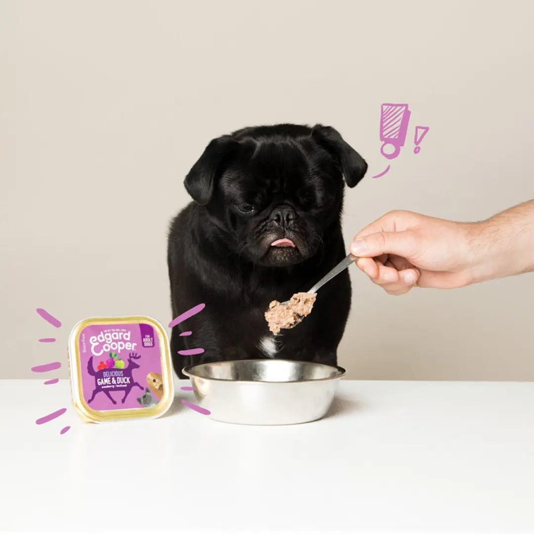 Edgard & Cooper Kuipje Honden Natvoer Wild - Eend - 11x150g - afbeelding 6 van 6