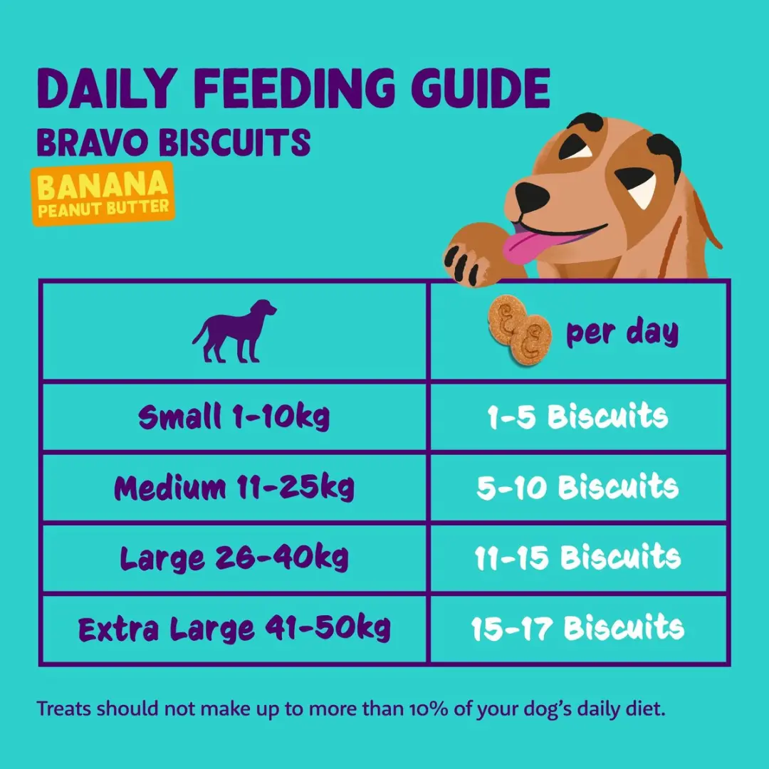 Edgard & Cooper Kalkoen Bravo Biscuits - 1600g (4x400g) - Graanvrij