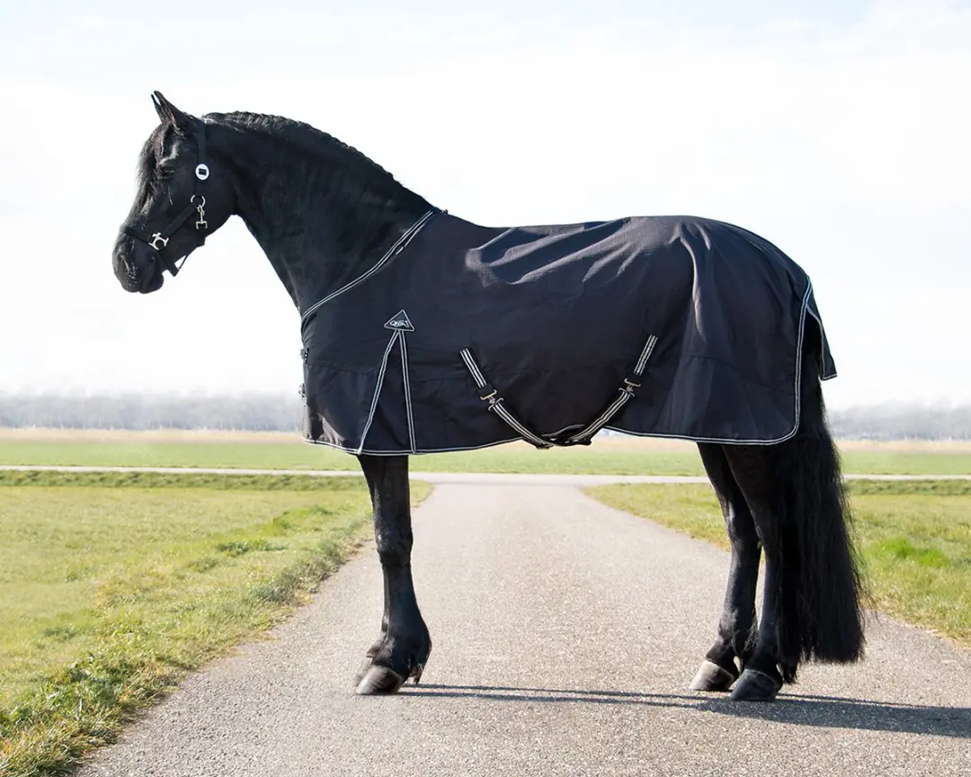 QHP Turnout XL Deken - 175cm Zwart - afbeelding 6 van 6