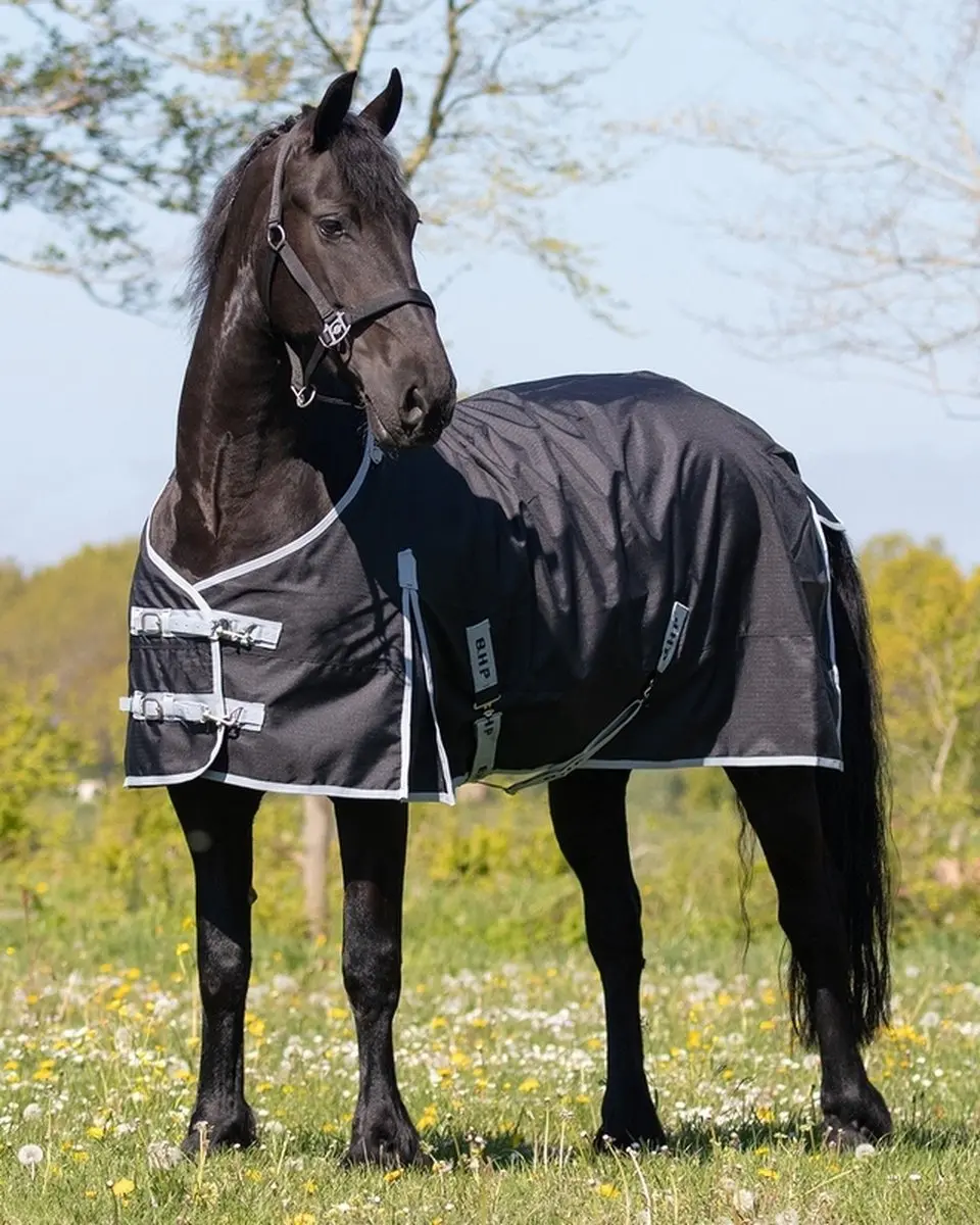 QHP Turnout XL Deken - 175cm Zwart
