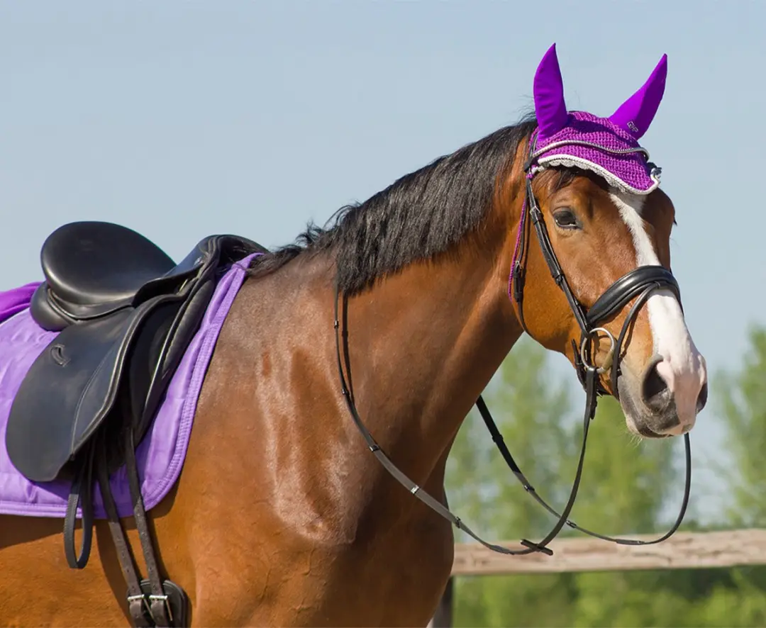 QHP Oornetje Pony - Paars