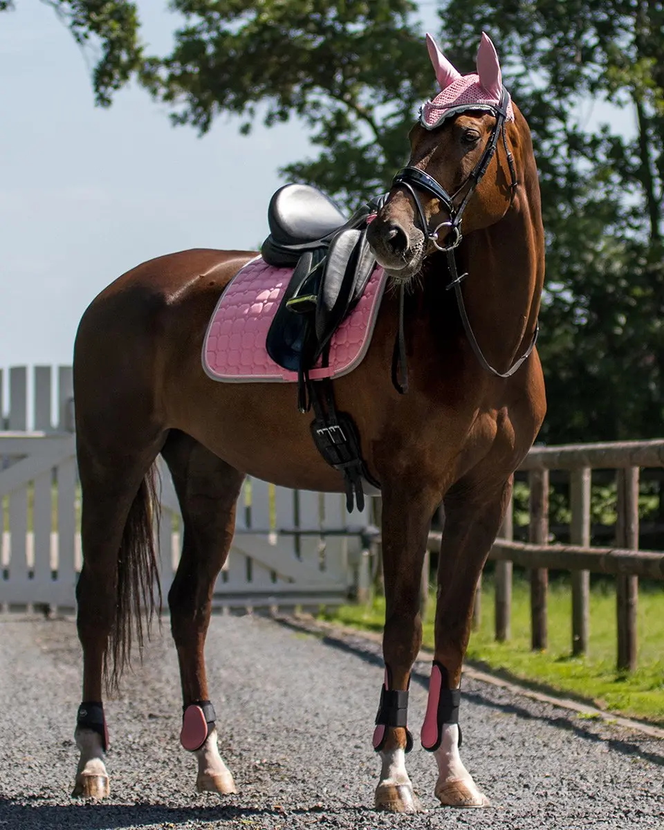 QHP Florence Zadeldek Full Roze