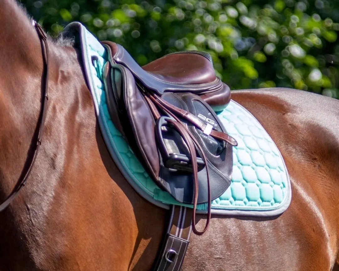 QHP Florence Zadeldek - Pony - Groen
