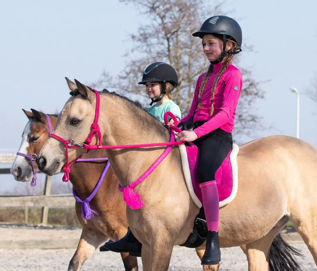 QHP Bareback Pad Shetlander Fuchsia - afbeelding 5 van 6
