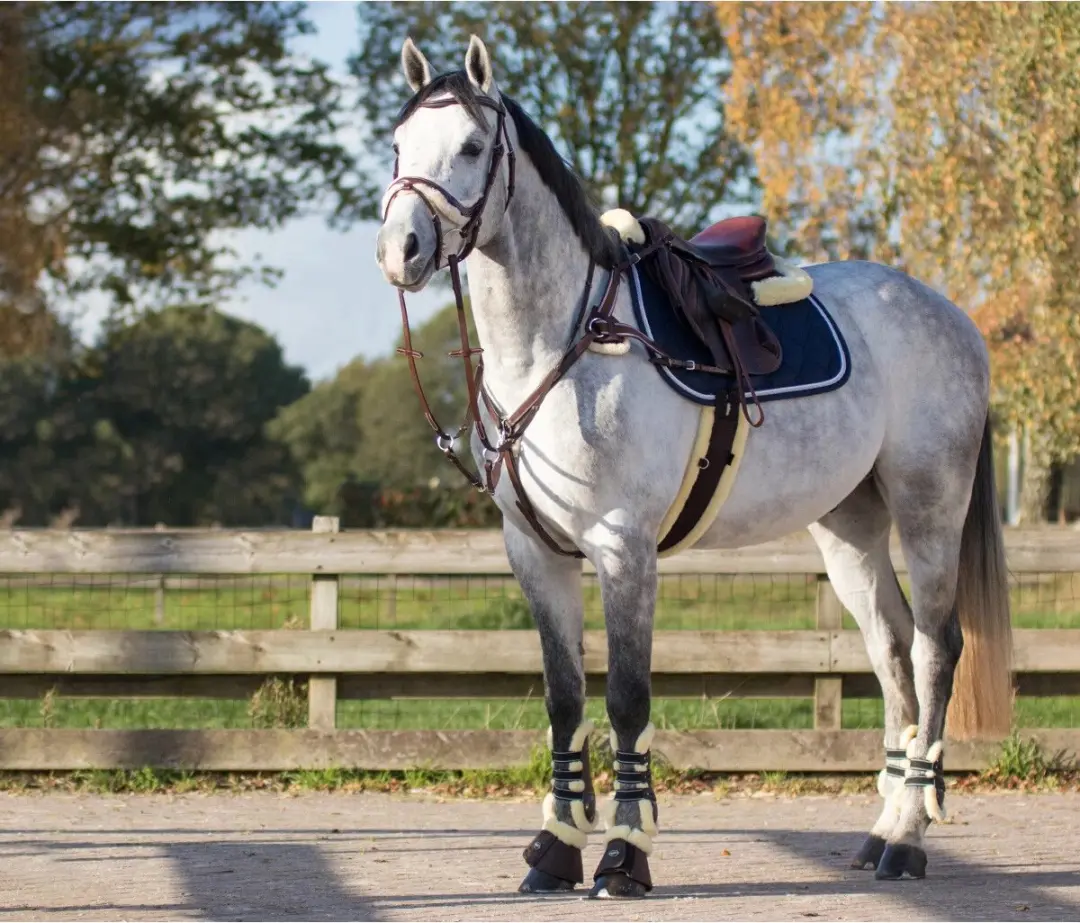 QHP Ontario Peesbeschermers Full - Bruin