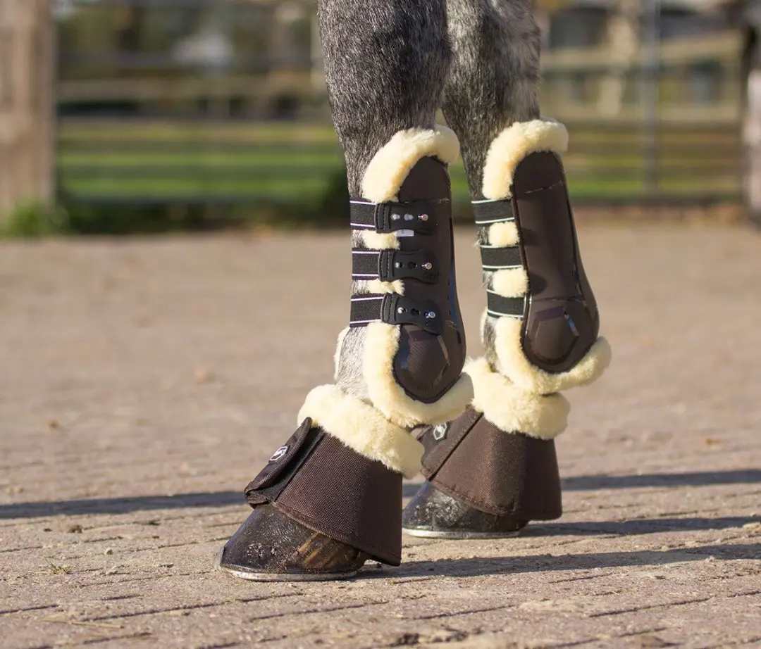 QHP Ontario Peesbeschermers Full