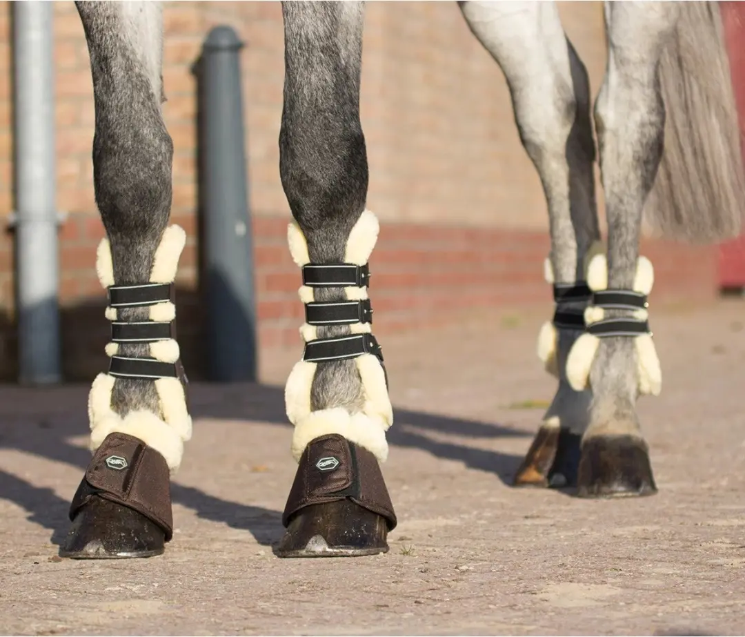 QHP Ontario Peesbeschermers Full - Bruin