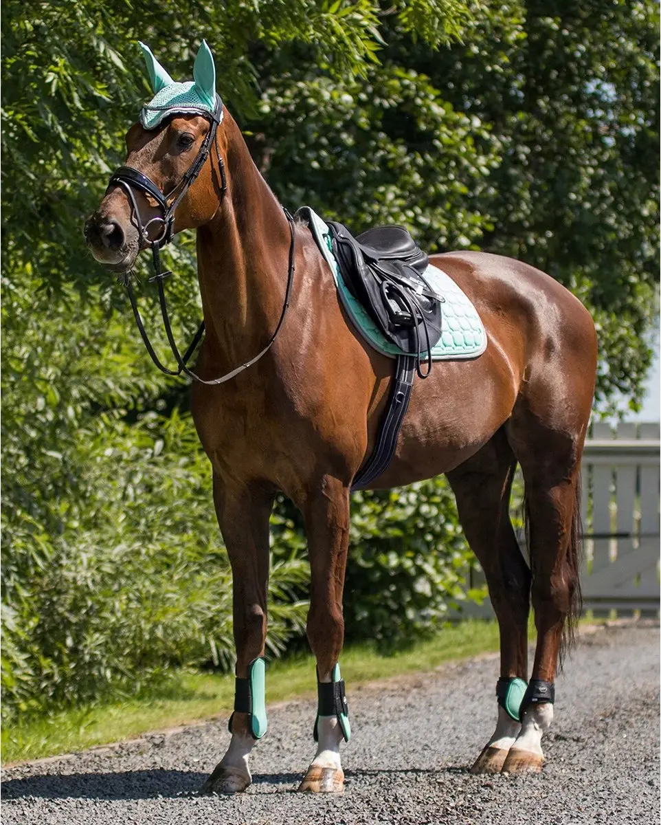 QHP Kogelbeschermers Pony - Groen