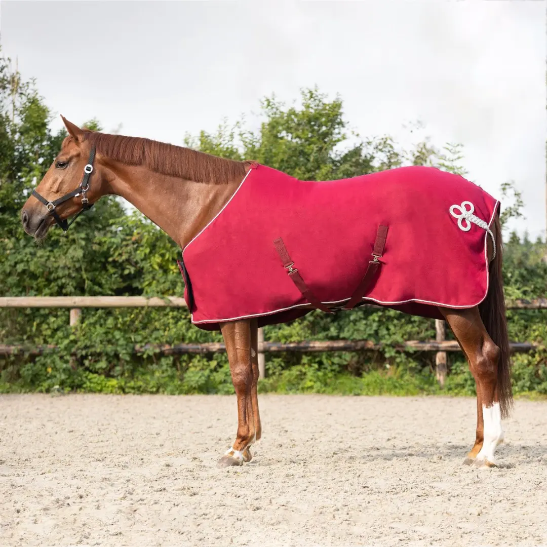 QHP Zweetdeken Donkerrood 135cm