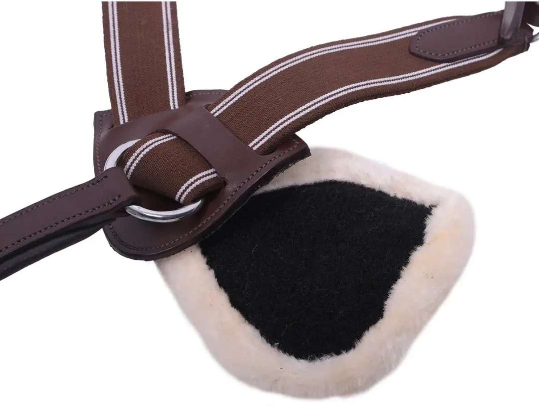 QHP Ontario Borsttuig - Cob Bruin
