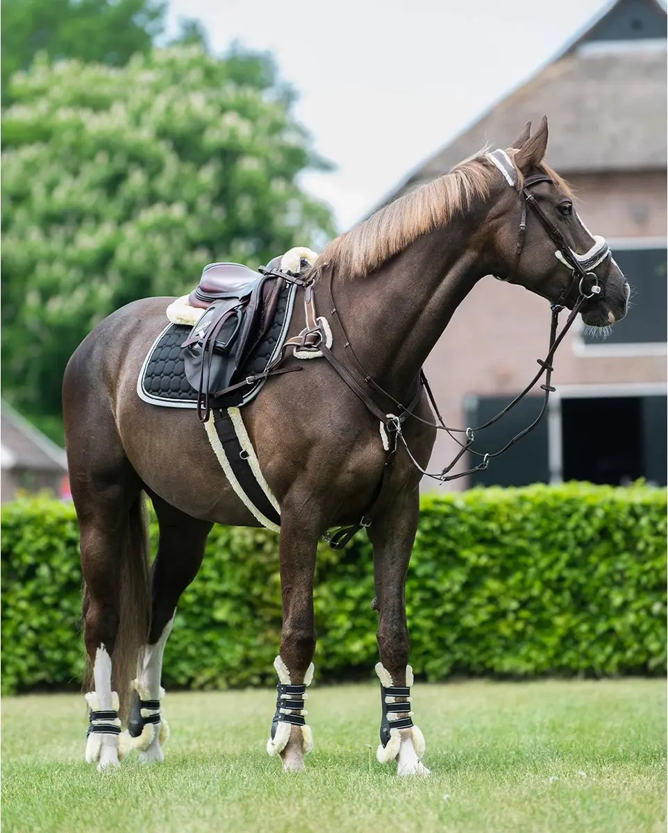 QHP Ontario Borsttuig - Cob Bruin