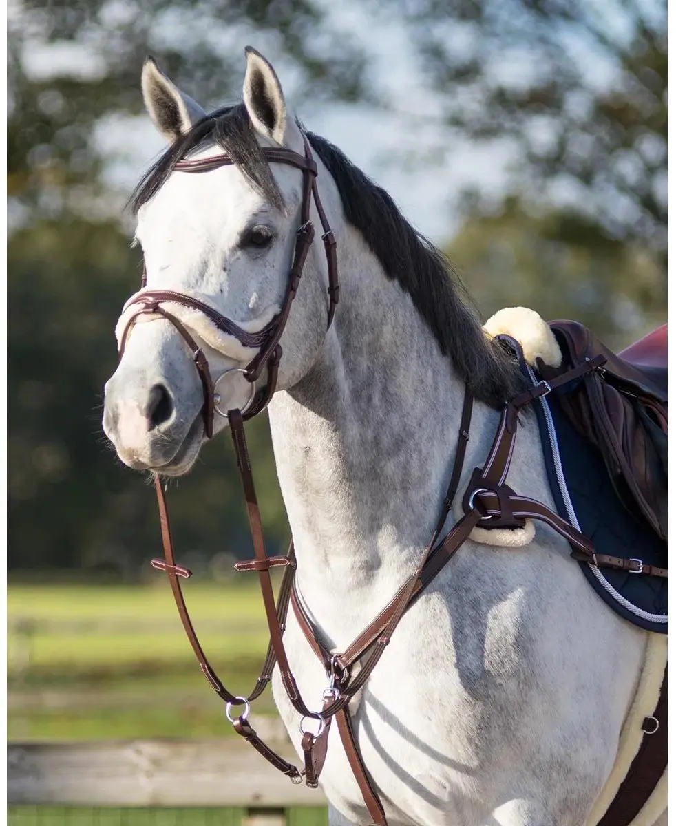 QHP Ontario Borsttuig - Cob Bruin - afbeelding 6 van 6