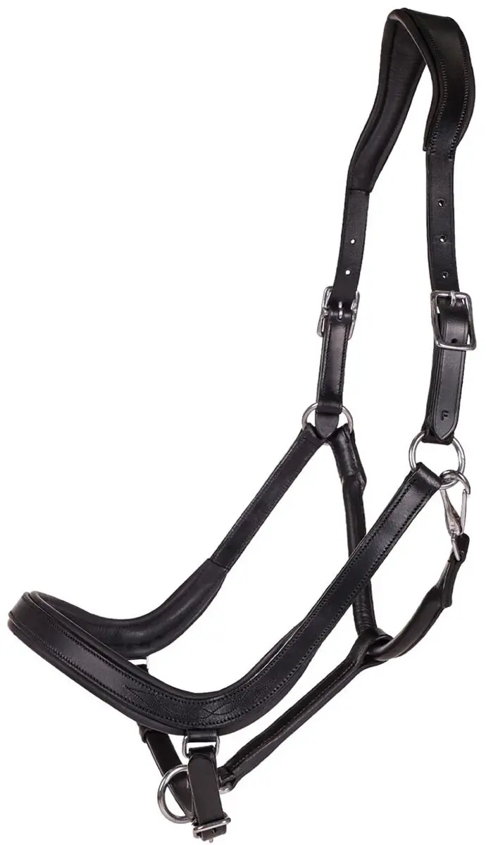 Qhp Halster Qhp Salerno Anatomisch Zwart