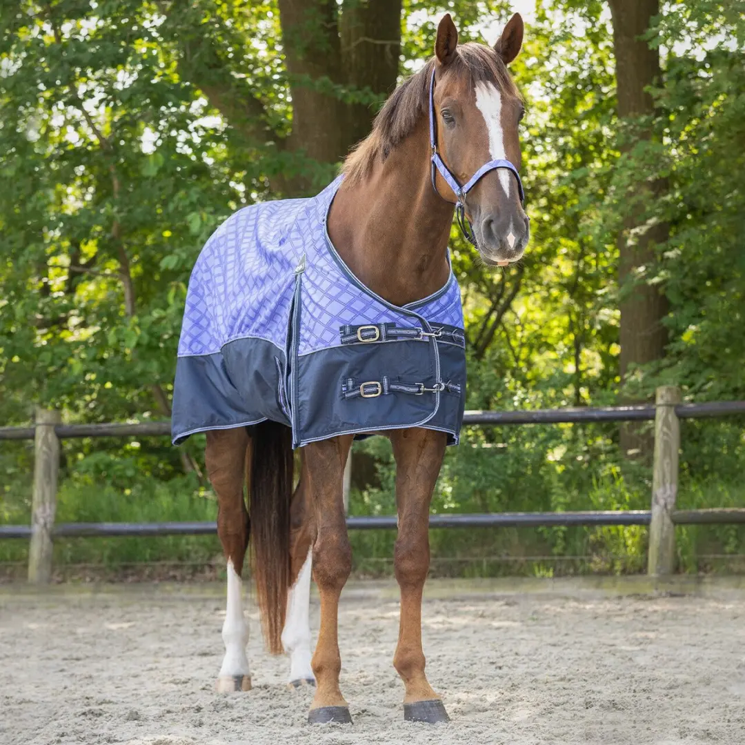 QHP Waterdichte Zomerdeken Blauw 165cm - afbeelding 5 van 6